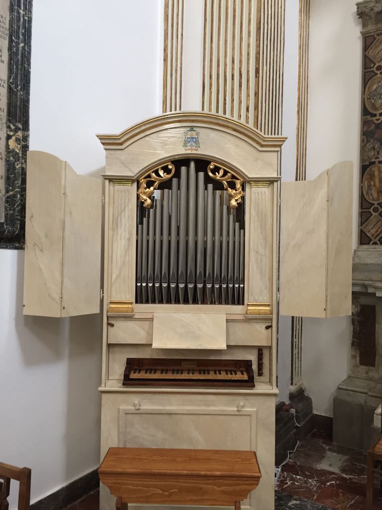 organo strumento musicale costo